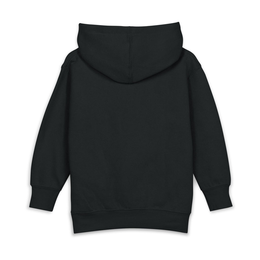 Toddler Hoodie with Cute Mushroom Gnome Graphic