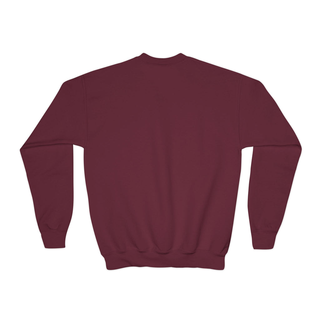 Youth Crewneck Sweatshirt — "Chill & Positive Vibes" Butterfly Graphic