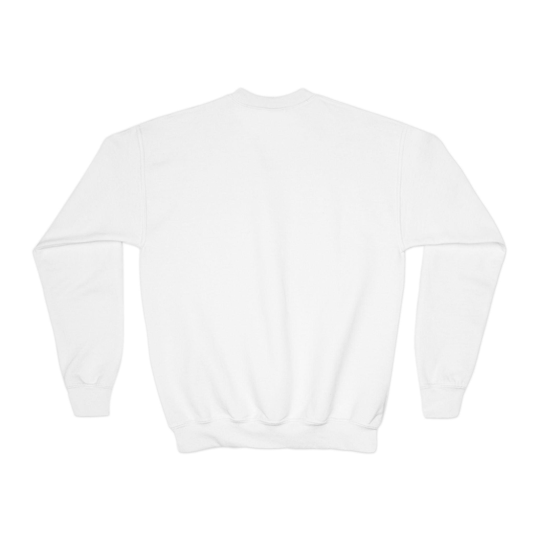 Youth Crewneck Sweatshirt — "Chill & Positive Vibes" Butterfly Graphic