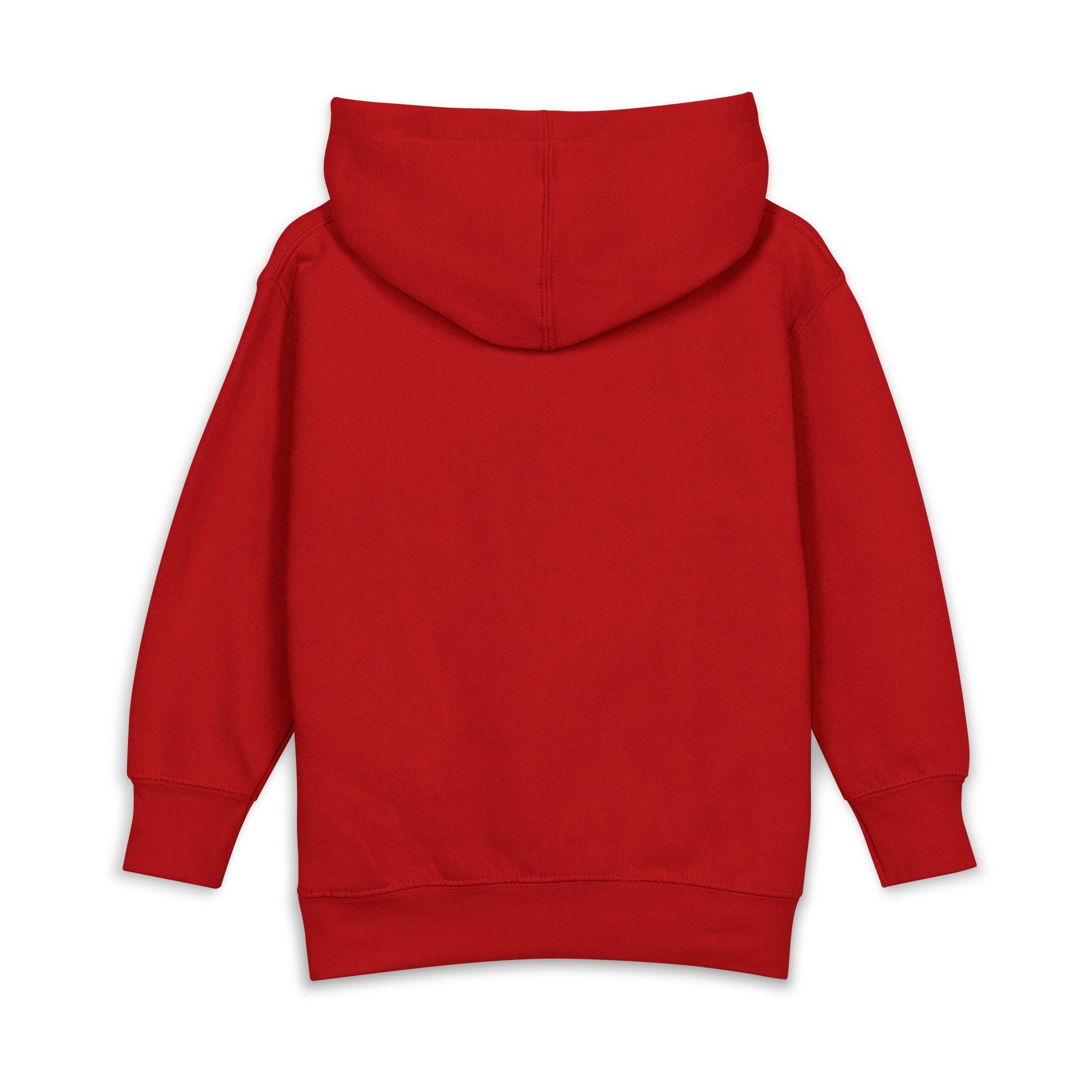 Toddler Hoodie with Cute Mushroom Gnome Graphic