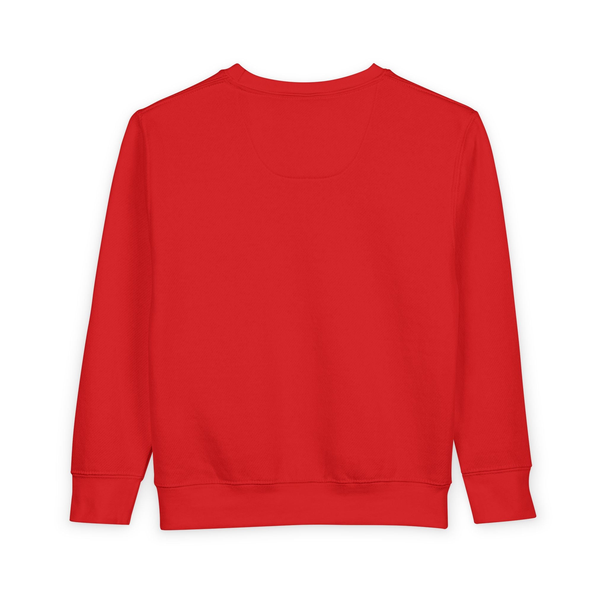 Toddler Sweatshirt — Green Fairy Princess Crewneck for Kids